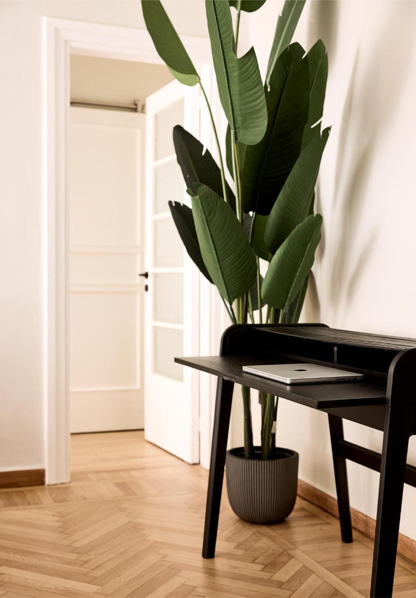 Lime Residences, Syntagma By Aura Homes Атина Стая снимка